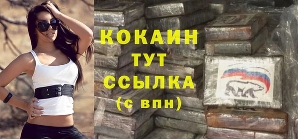 индика Наволоки