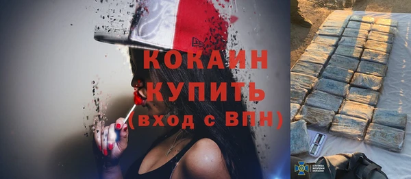 прущий лед Алзамай