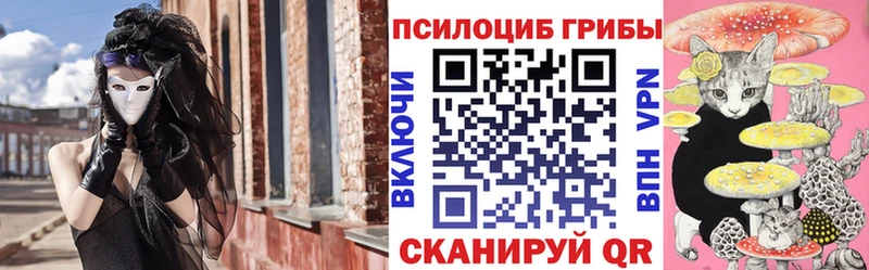 закладка  Кизел  Псилоцибиновые грибы MAGIC MUSHROOMS 